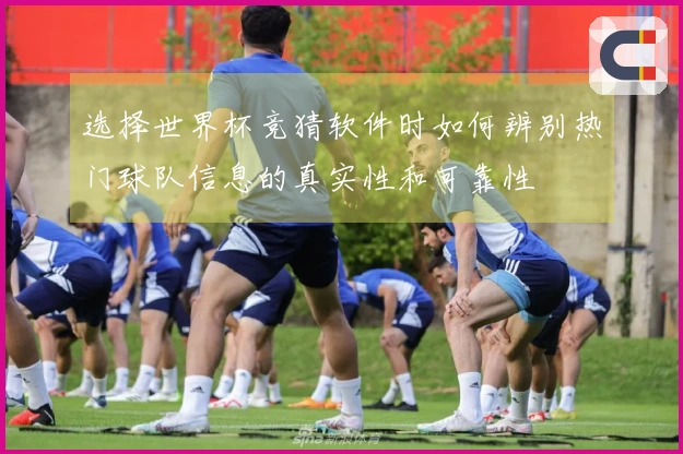 选择世界杯竞猜软件时如何辨别热门球队信息的真实性和可靠性