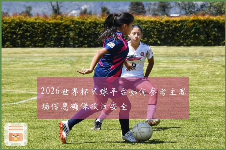 2026世界杯买球平台如何参考主客场信息确保投注安全